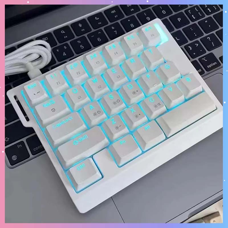 Gaming Keyboard Mechanical - คีย์บอร์ดเกมมิ่งแบบกลไก HE30 29 ปุ่ม สวิตช์แม่เหล็ก 8000HZ