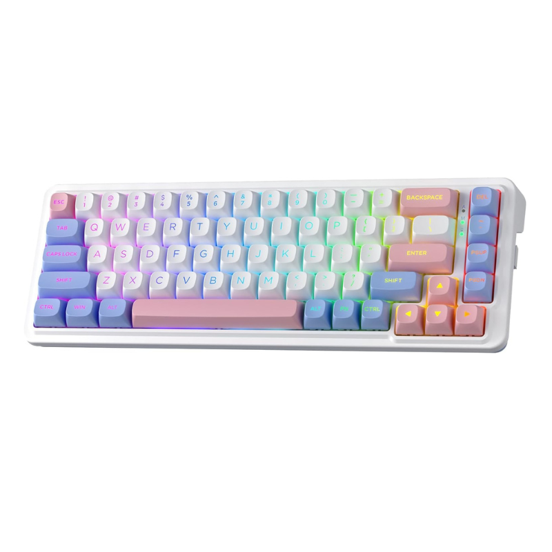 Gaming Keyboard No Noise - Redragon K709 Pro 65% ปะเก็นไร้สาย RGB